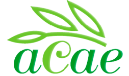 acae-Olis-Solé
